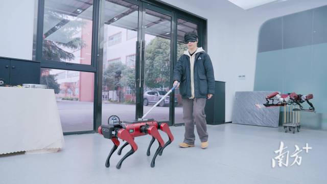 六足导盲机器人。