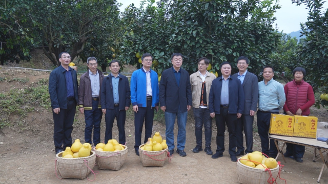 猫咪视频
调研_2025-12-03_09-51-23.jpg